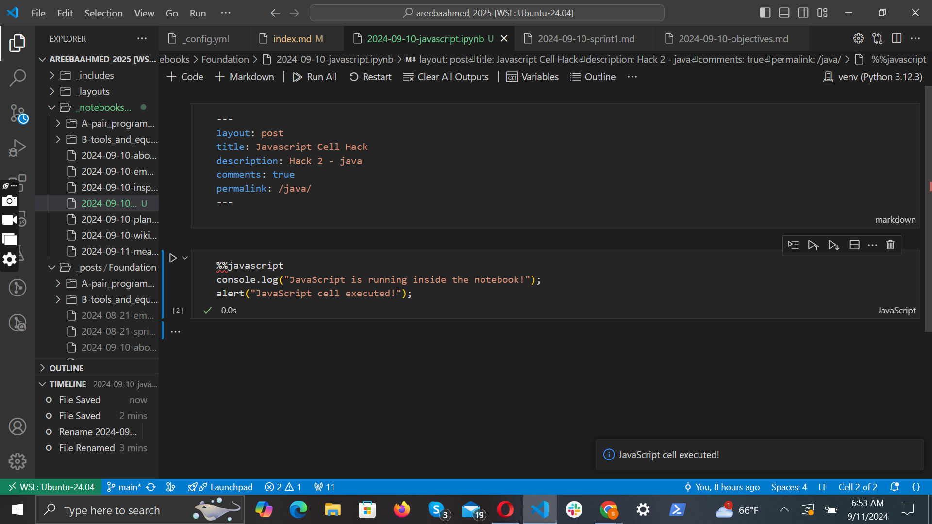 Javascript Cell Jupyter Notebook